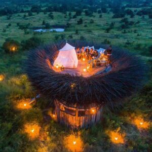 The beauty of  Nay Palad Bird Nest in Kenya