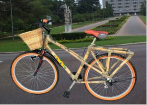Meet Ghanaian Entrepreneur Bernice Dapaah who is  Transforming Lives by Making bicycle out of Bamboo