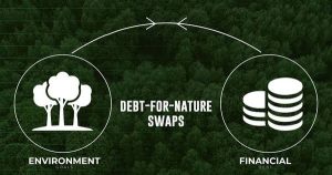 Gabon becomes the first African country to initiate the brilliant debt-for-nature swap, for up to $450 million