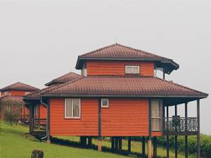 Obudu cattle ranch 