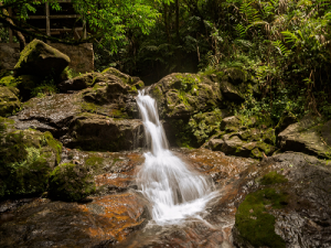 Obudu cattle ranch 