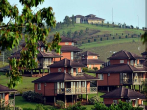 Obudu cattle ranch 