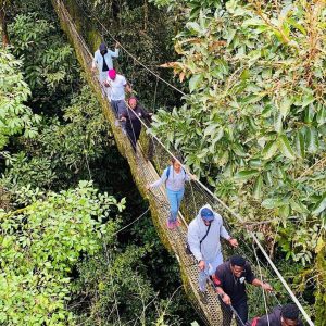 Obudu cattle ranch 