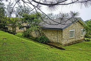 Obudu cattle ranch 