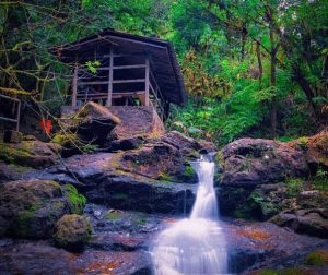 Obudu mountain ranch