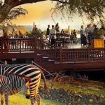 Image: Zambia Safari Source: Goggle