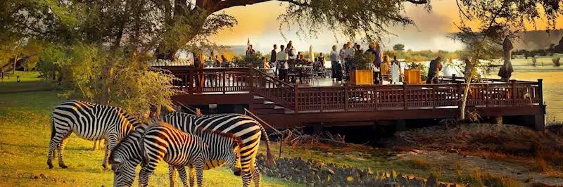 Image: Zambia Safari Source: Goggle