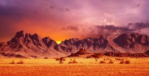 The sand dunes of Namibia and Angola are some of the most dramatic and iconic landscapes in the world.