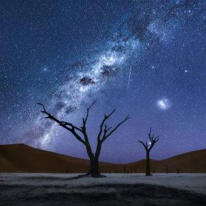 The sand dunes of Namibia and Angola are some of the most dramatic and iconic landscapes in the world.