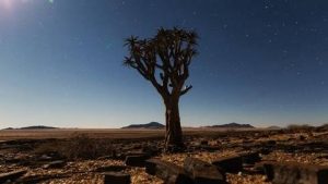 The sand dunes of Namibia and Angola are some of the most dramatic and iconic landscapes in the world.